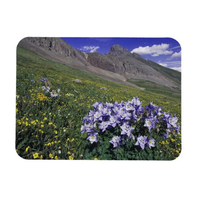 Imán Montañas y flores silvestres en pradera alpina, az (Horizontal)