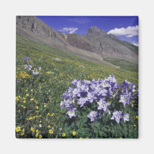Imán Montañas y flores silvestres en prado alpino, Azul