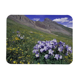 Imán Montañas y flores silvestres en prado alpino, Azul