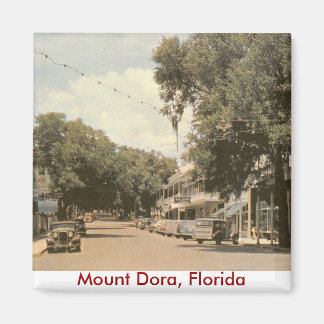 Imán Monte Dora, Florida