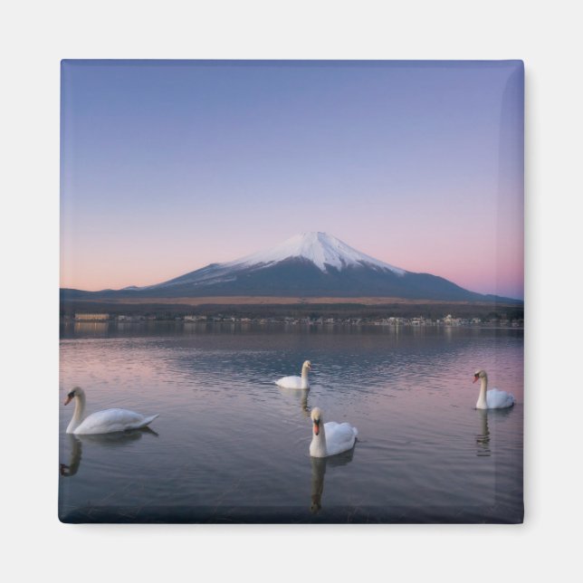 Imán Monte Fuji | Lago Yamanaka con cisnes (Frente)