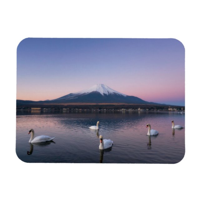 Imán Monte Fuji | Lago Yamanaka con cisnes (Horizontal)