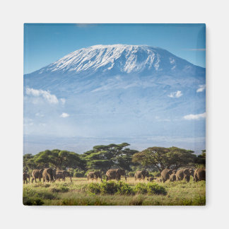 Imán Monte Kilimanjaro