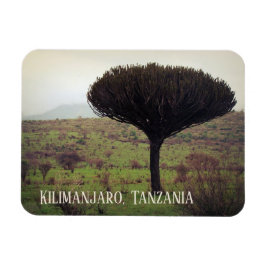 Imán Monte Kilimanjaro, Árbol de Candelabra