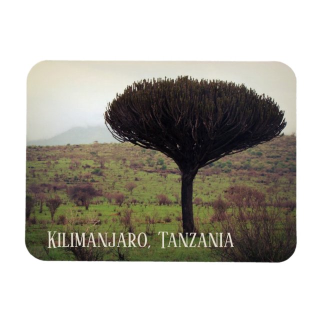 Imán Monte Kilimanjaro, Árbol de Candelabra (Horizontal)