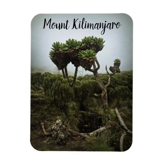 Imán Monte Kilimanjaro Magnet (Vertical)