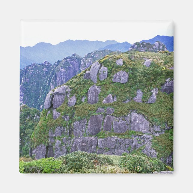 Imán Monte Nagata, Yakushima, Kagoshima, Japón (Frente)