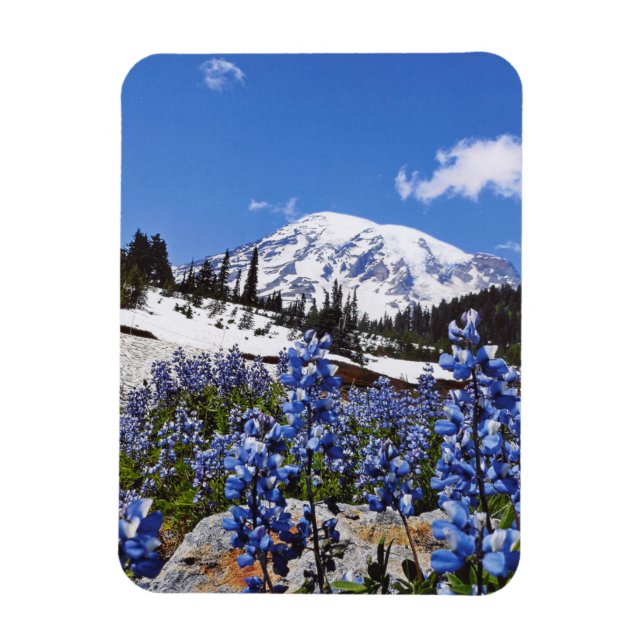 Imán Monte Rainier en el punto de paraíso (Vertical)