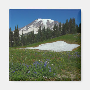 Imán Monte Rainier, flores silvestres y nieve