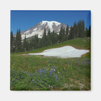 Imán Monte Rainier, flores silvestres y nieve