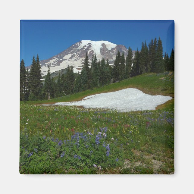 Imán Monte Rainier, flores silvestres y nieve (Frente)