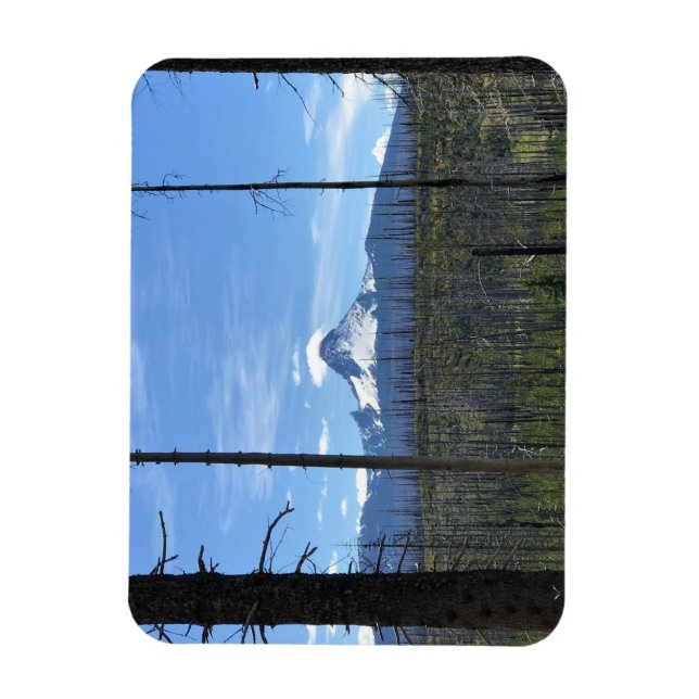 Imán Monte Washington, O (Vertical)