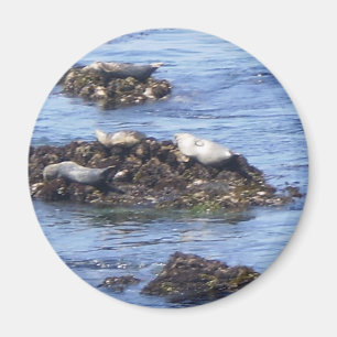 Imán Monterey, CA