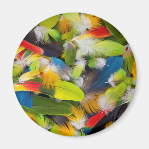 Imán Montón de plumas coloridas