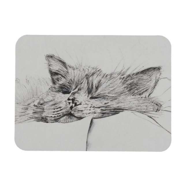 Imán Monty-sleepy (Horizontal)