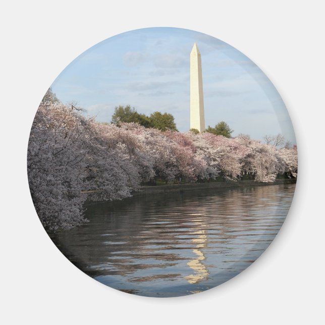 Imán Monumento a Cherry Blossom Washington (Frente)
