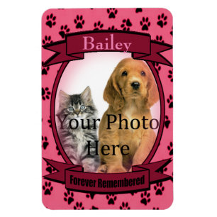 Imán Monumento a las pinturas rosas para gato o perro