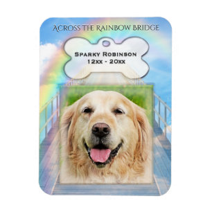 Imán Monumento a los perros puente del arco iris