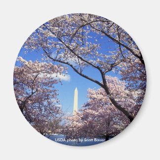 Imán Monumento a Magnet/Washington