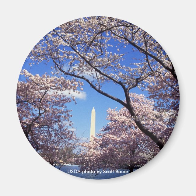 Imán Monumento a Magnet/Washington (Frente)