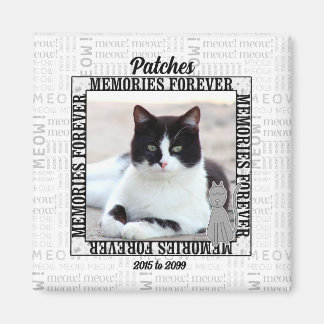 Imán Monumento a Mascota fotográfico de un gato de fond