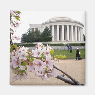 Imán Monumento a Thomas Jefferson con flor de cerezo