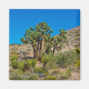 Imán Monumento nacional a la mantequilla de oro