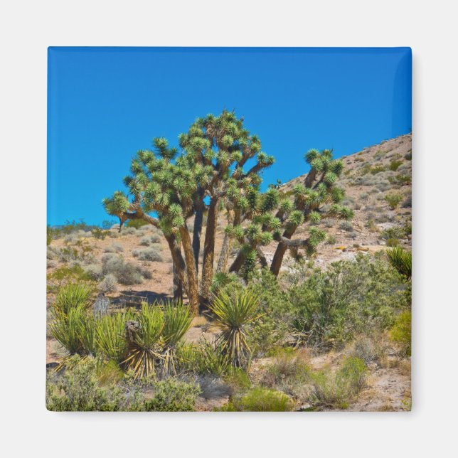 Imán Monumento nacional a la mantequilla de oro (Frente)