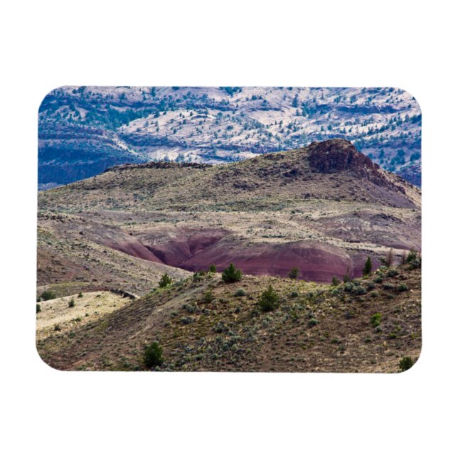 Imán Monumento Nacional de Camas Fósiles John Day, Oreg (Horizontal)