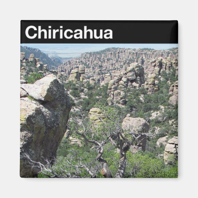 Imán Monumento nacional de Chiricahua (Frente)