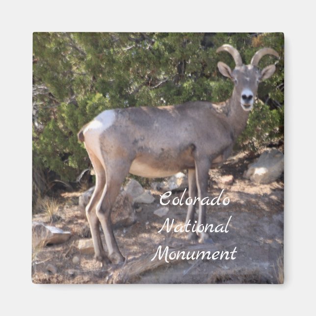 Imán Monumento Nacional de Colorado (Frente)