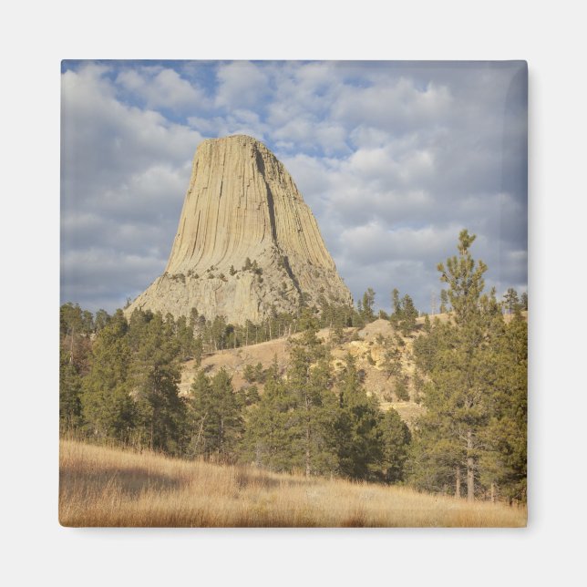 Imán Monumento Nacional Devils Tower (Frente)