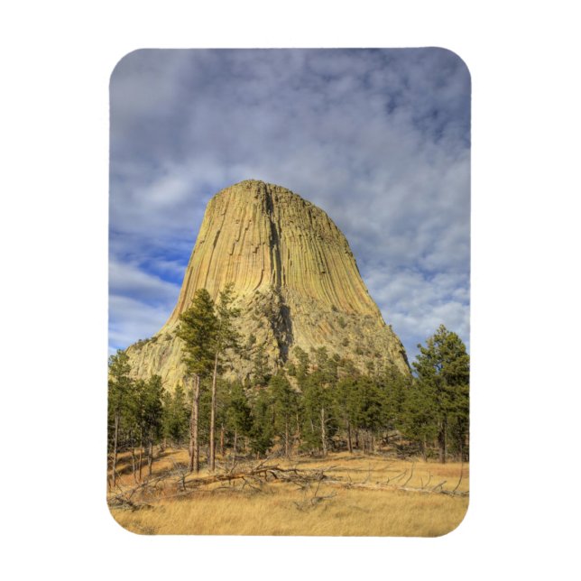 Imán Monumento Nacional Devils Tower (Vertical)