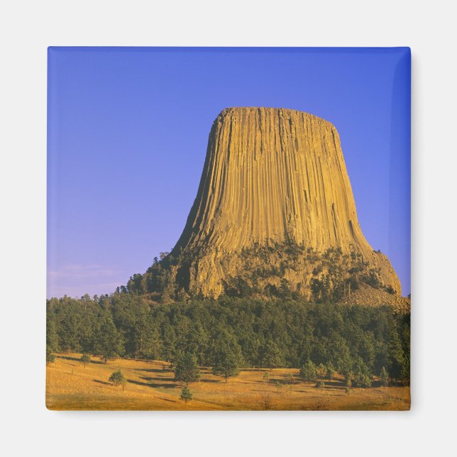 Imán Monumento Nacional Devils Tower en Wyoming (Frente)