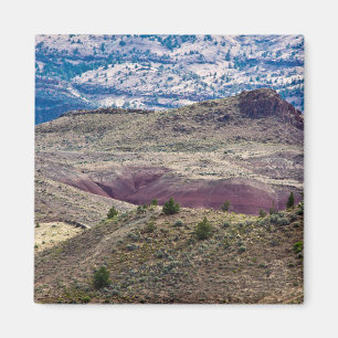 Imán Monumento Nacional John Day Fossil Beds, Oregón