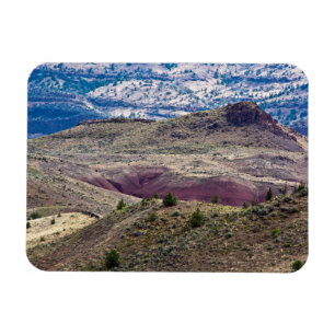 Imán Monumento Nacional John Day Fossil Beds, Oregón