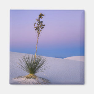 IMÁN MONUMENTO NACIONAL WHITE SANDS, NUEVO MÉXICO.