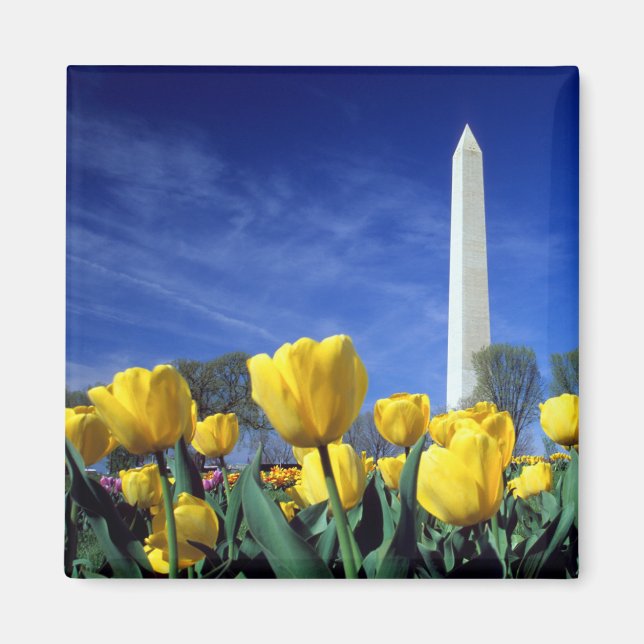Imán Monumentos | Monumento a Washington en primavera (Frente)