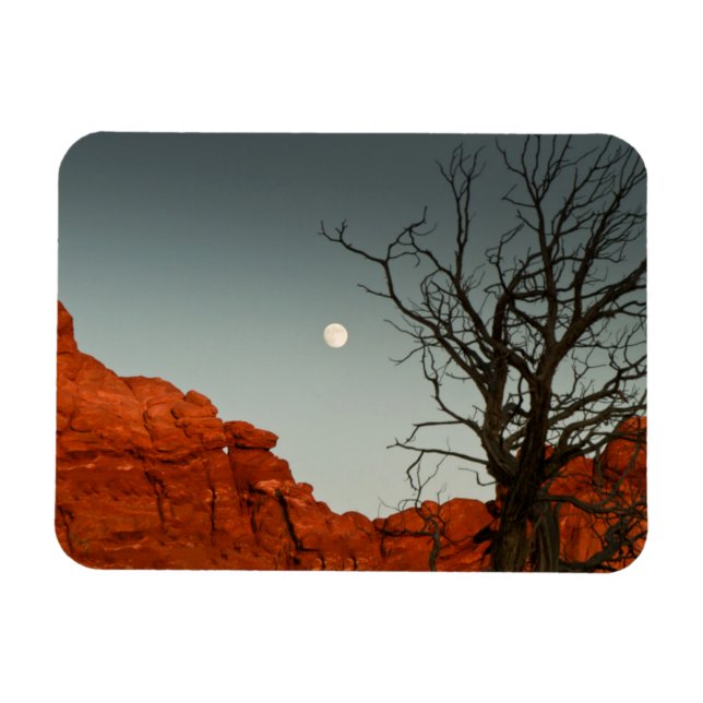 Imán Moon malvada (Horizontal)