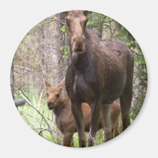Imán Moose Animal Forest Peace Love Destiny