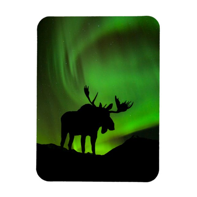 Imán Moose con Green Aurora Borealis, Alaska (Vertical)