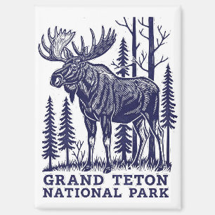Imán Moose en el Parque Nacional del Gran Tetón