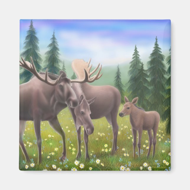 Imán Moose en una selva del norte (Frente)