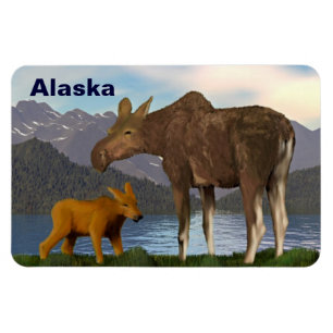 Imán Moose in the Meadow
