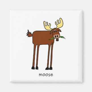 Imán Moose Magnet