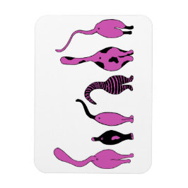 Imán Morado de gatos