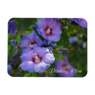 Imán Morado Hibiscus Garden Flores pensando en ti