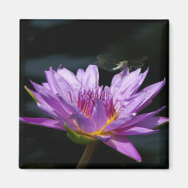 Imán morado Lotus Waterlily Dragonfly