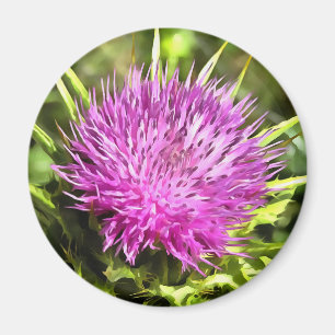 Imán Morado Thistle Flor silvestre Arte floral