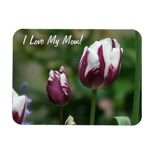 Imán Morado Tulips Mom (Horizontal)